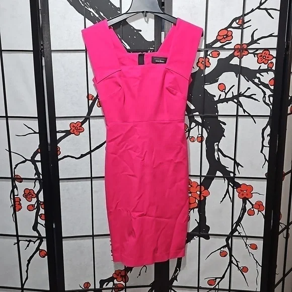 Roland‎ Mouret x Banana Republic Pink Sleeveless Dress Size 2 - Picture 2 of 9